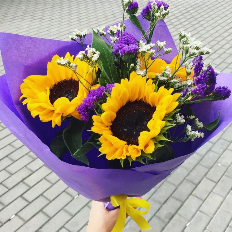 Чудо остров от 3 790 руб.